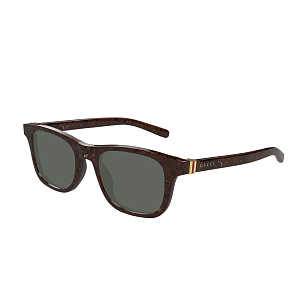 Очки с/з Gucci GG1671S 007 53
