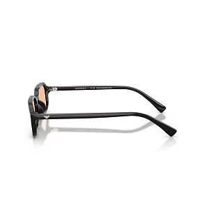 Очки с/з EMPORIO ARMANI EA 4253U 5017/93 54
