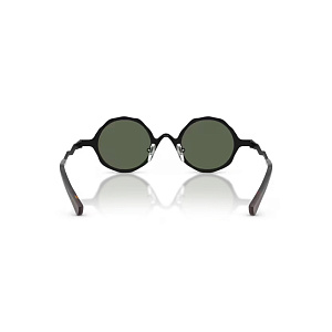 Очки с/з EMPORIO ARMANI EA 2166 3001/2 41