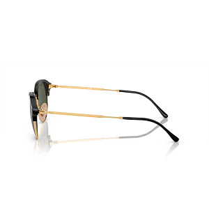 Очки с/з Ray-Ban RB 4429 601/31 53
