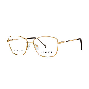 Мед. оправа STEPPER SI-50329 F011 53